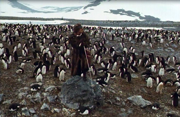 Mr Forbush and the penguins (1971)