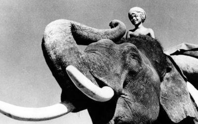 Elephant Boy / Toomaï le grand cornac (1937)
