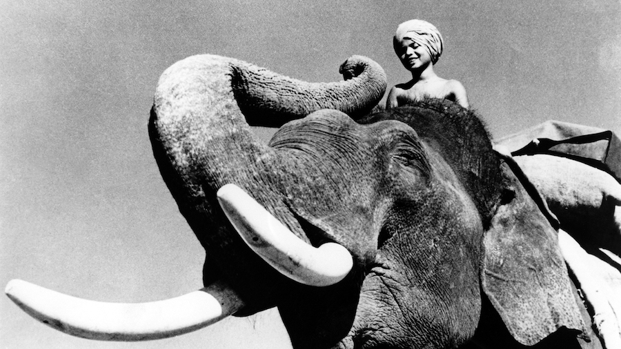 Elephant Boy / Toomaï le grand cornac (1937)