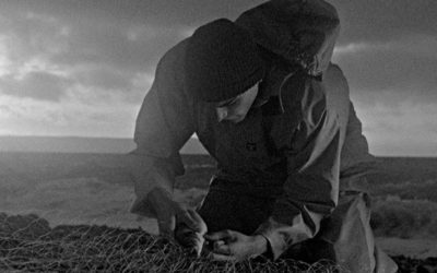 Bait (2019)
