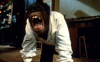 Link (1986)