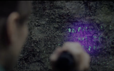 The Circle (2017)