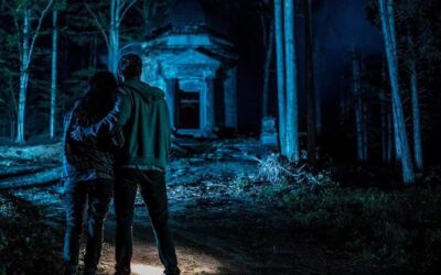 Redwood (2017)